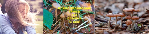 мет Богданович