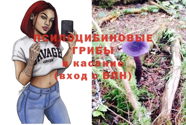 сатива Бугульма