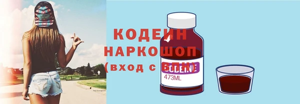 бошки Бородино