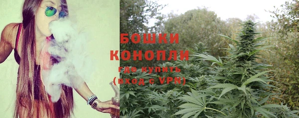 сатива Бугульма