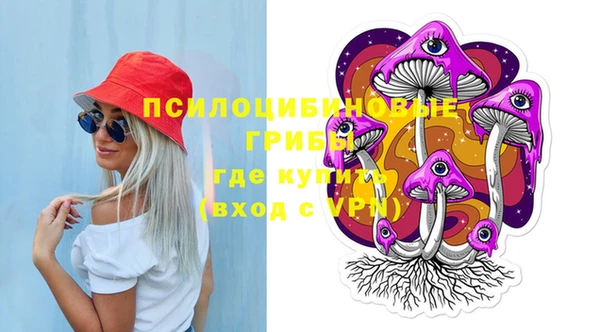 круглые Бронницы